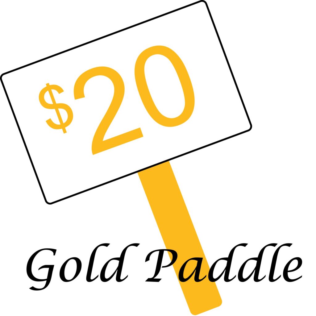 Quarter Auction Raffle Gold Paddle*Preorder Dmepto
