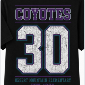 26-27 Spirit T-Shirt